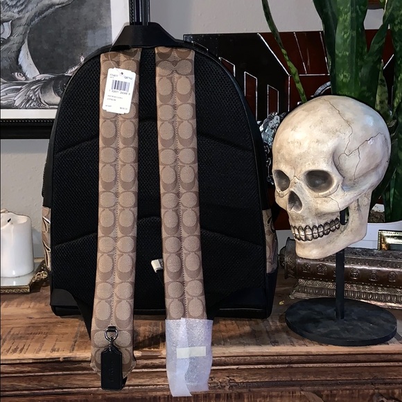NWT Coach Skull backpack x Chelsea Champlain - Picture 2 of 5